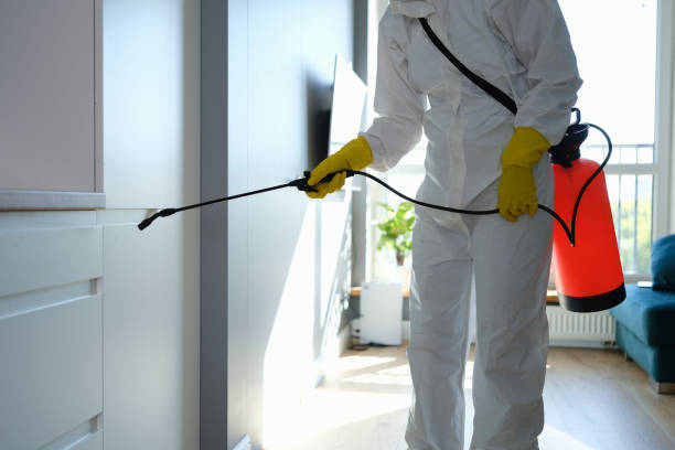 Best Mold Prevention Services  in St Gabriel, LA