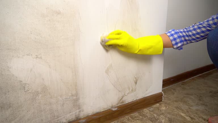  St Gabriel, LA Mold Removal Pros